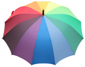 Professional Business Gift Umbrella